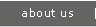 About Silicon Beats